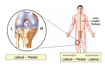 Termos Anatômicos | Anatomia | Aula de Anatomia