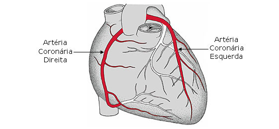 Artérias Coronárias Esquerda e Direita
