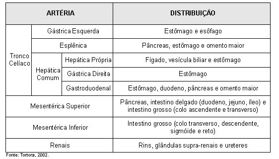 Esquema da Porção Abdominal da Artéria Aorta