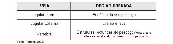  VEIAS DA CABEÇA E PESCOÇO