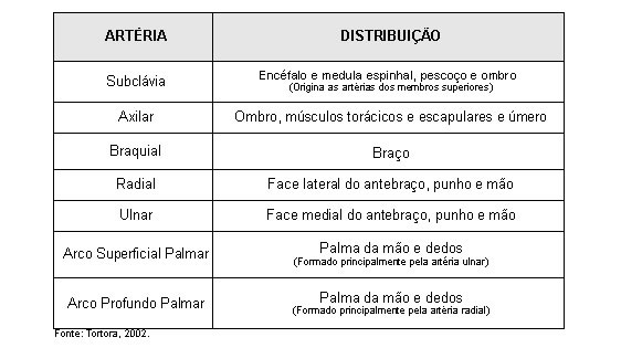 ARTÉRIAS DOS MEMBROS SUPERIORES