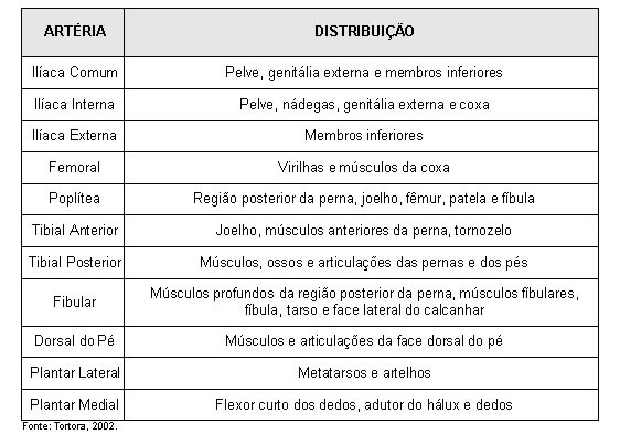 ARTÉRIAS DOS MEMBROS INFERIORES