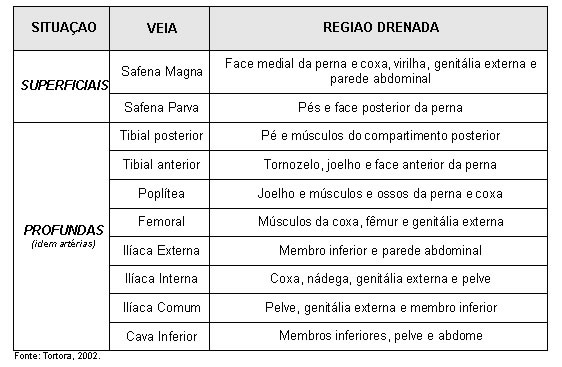 VEIAS DOS MEMBROS INFERIORES