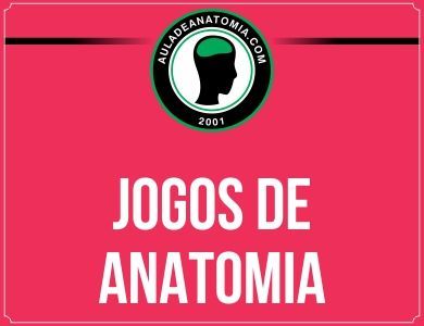 Jogos de anatomia