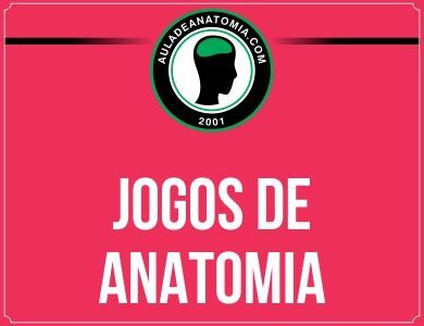 Jogos de anatomia