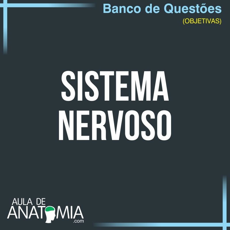 Versión -306 Problemas del sistema nervioso central con retroalimentación