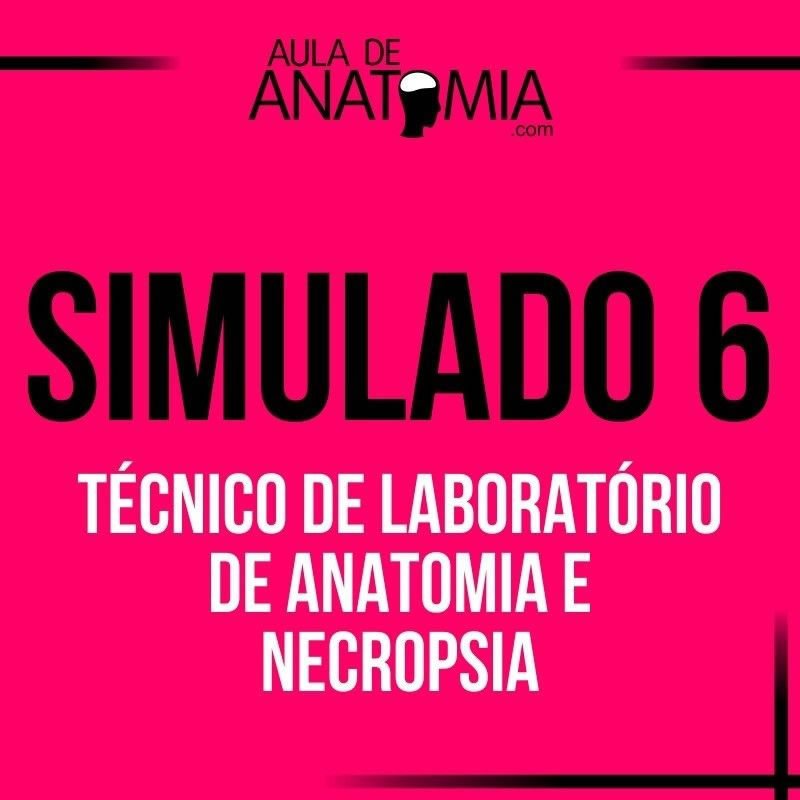 Simulación 6 - Técnico de laboratorio de anatomía y necropsia