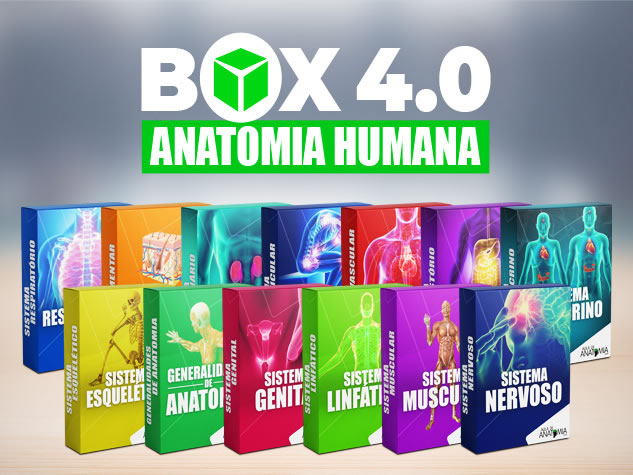 BOX Anatomia Humana 4.0