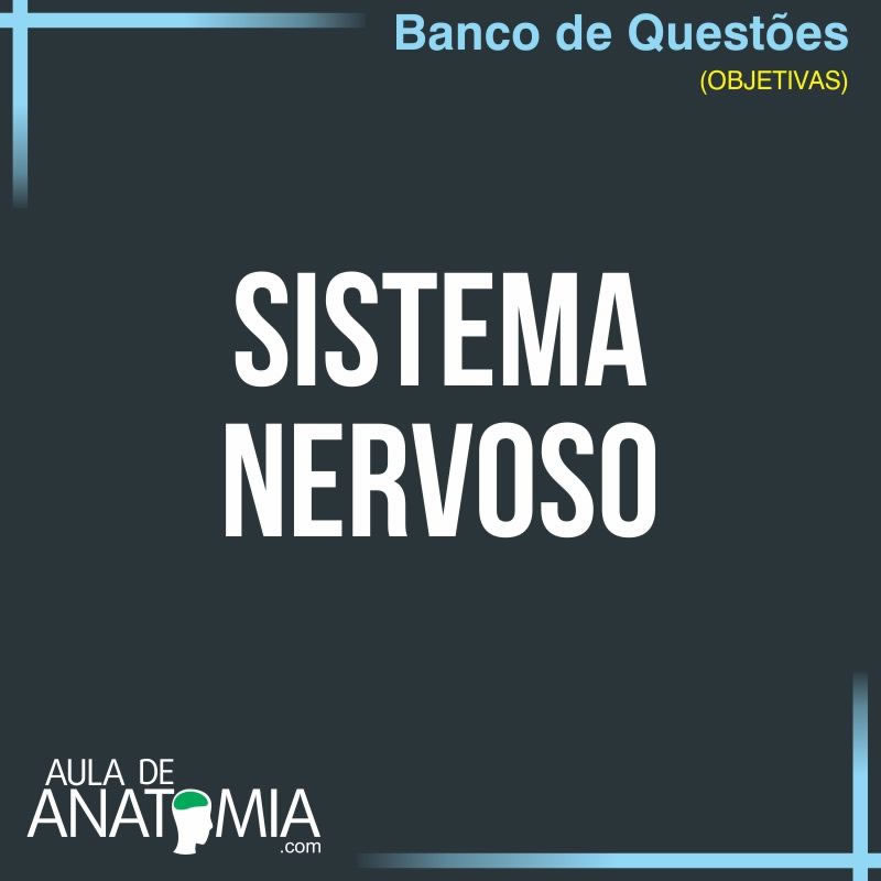 Lançamento -306 Questões do Sistema Nervoso Central com Gabarito