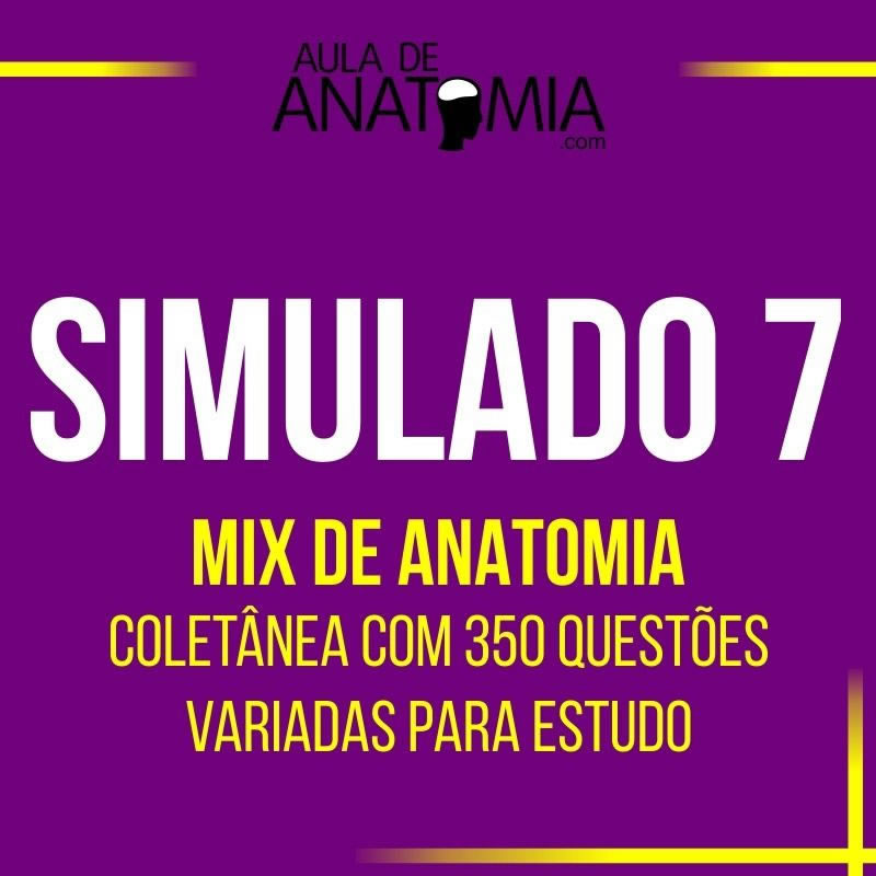 Simulation 7 - News