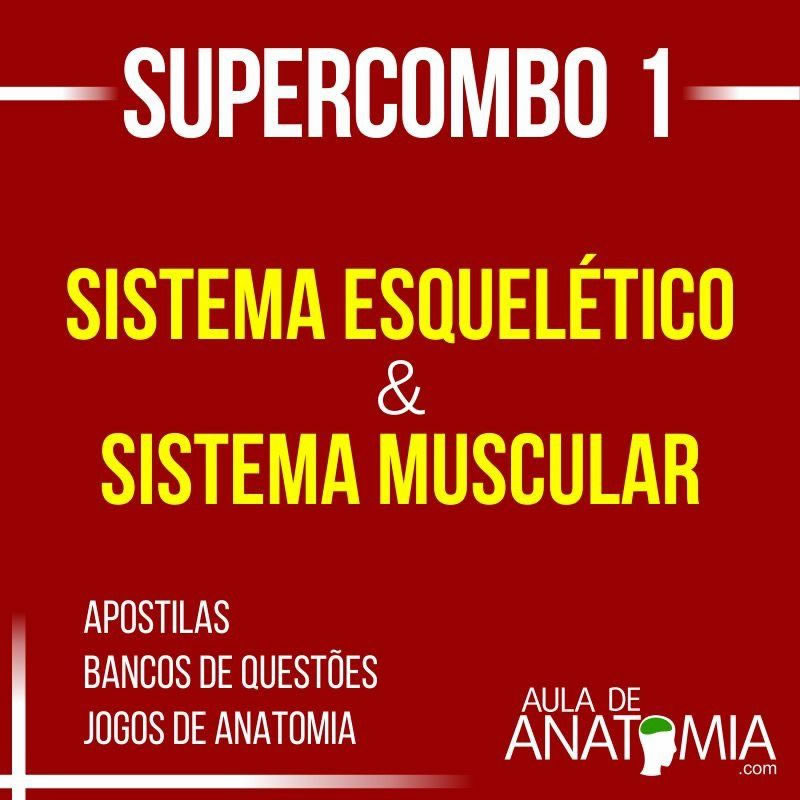 SUPERCOMBO 1- IMPERDÍVEL