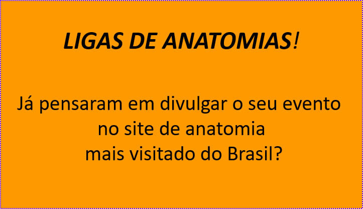 Atenção Ligas de Anatomias!!!!!
